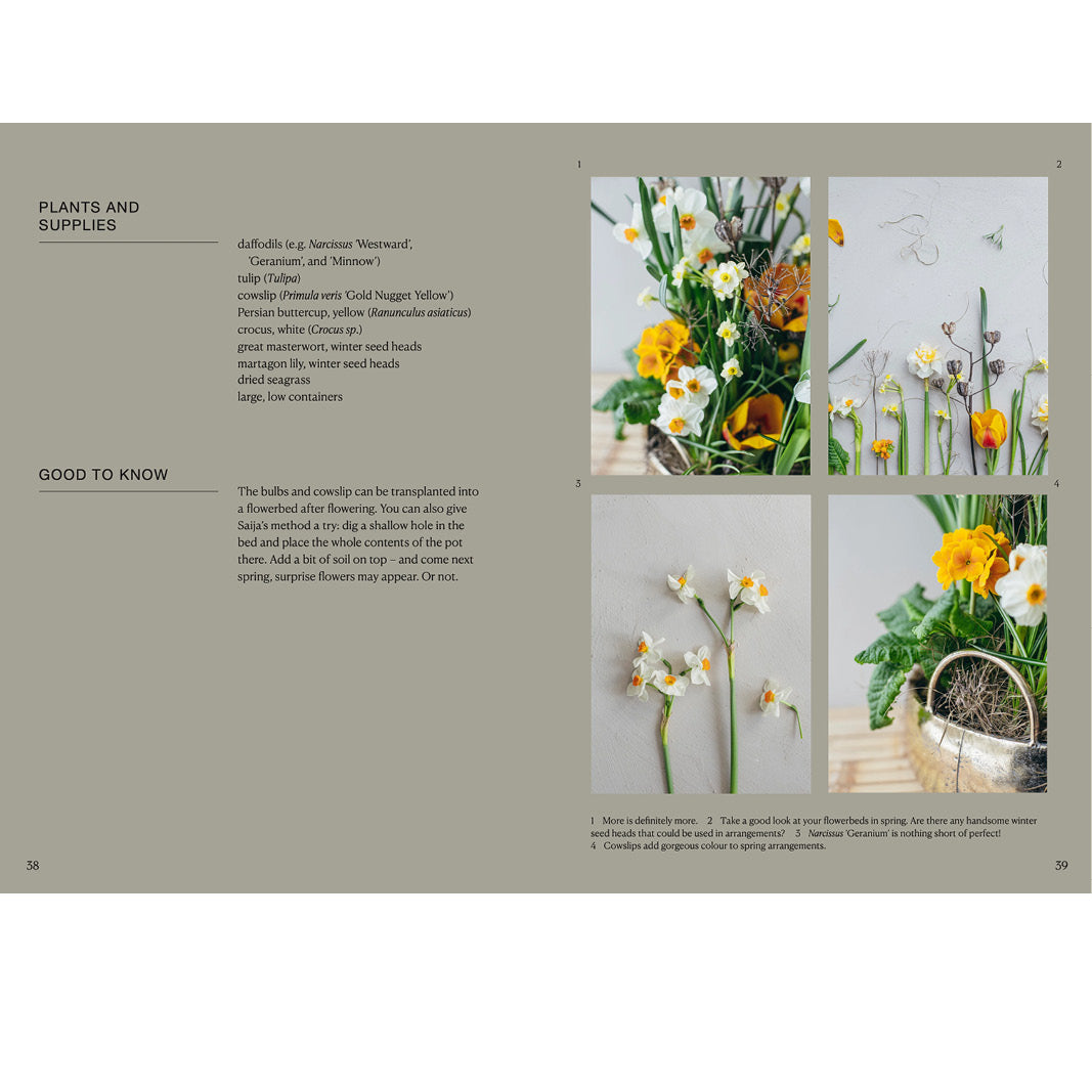 Book : The Potted Garden - All Year Round