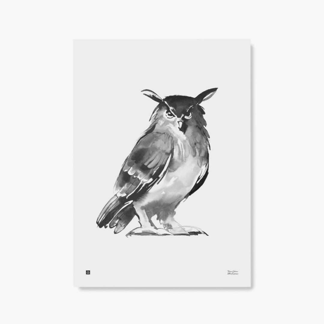 Teemu Järvi: Poster Owl