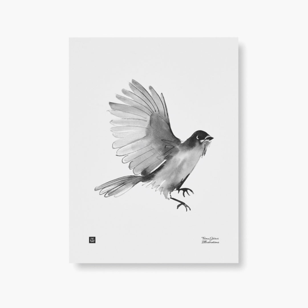 Teemu Järvi: Poster Jay