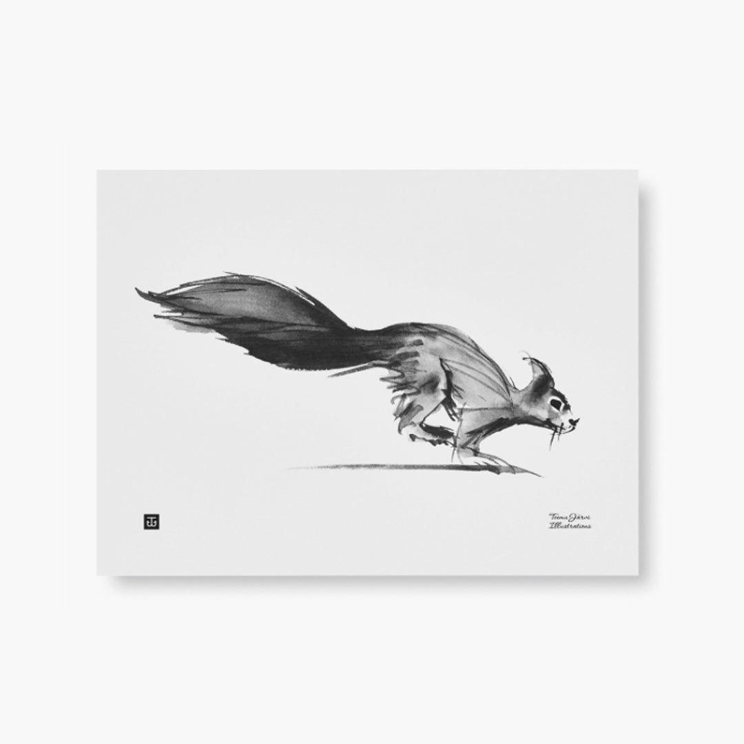 Teemu Järvi: Poster Squirel